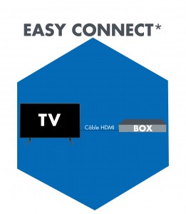 Icône Connexion TV - Box